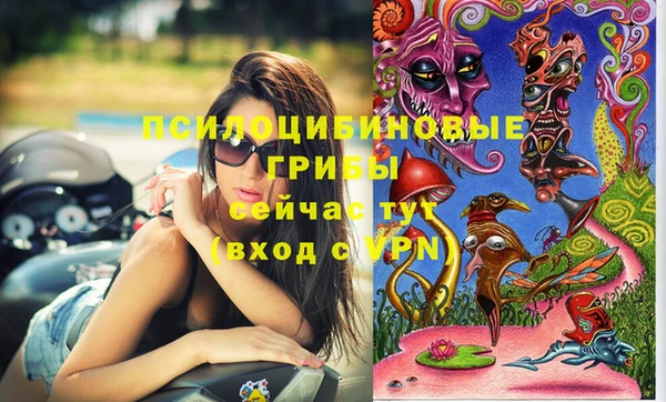 гашик Беломорск
