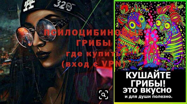 гидра Покровск
