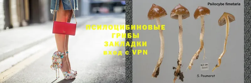 Галлюциногенные грибы MAGIC MUSHROOMS  наркота  Вятские Поляны 