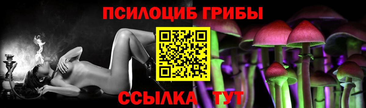 Галлюциногенные грибы прущие грибы Вятские Поляны